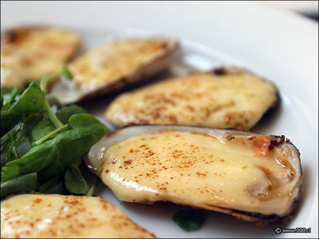 Lenguas de macha ali�adas con mantequilla y cubiertas de queso fundido - La Soga