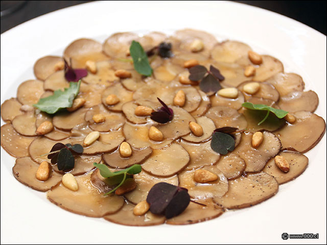 Carpaccio de Portobello con aceite de trufas y pinolli - Rubaiyat