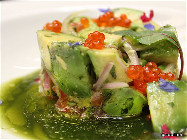 Dados de palta con cebolla macerada y leche de tigre al cilantro - Rubaiyat