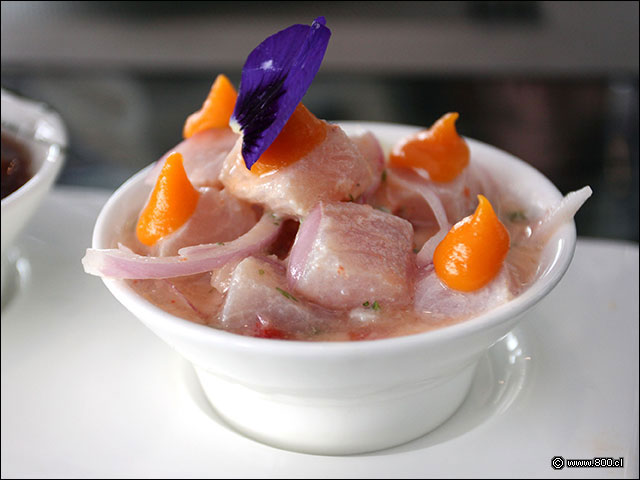 Cebiche de Reineta con Leche de Tigre y emulsin de camote - Sabor y Aroma