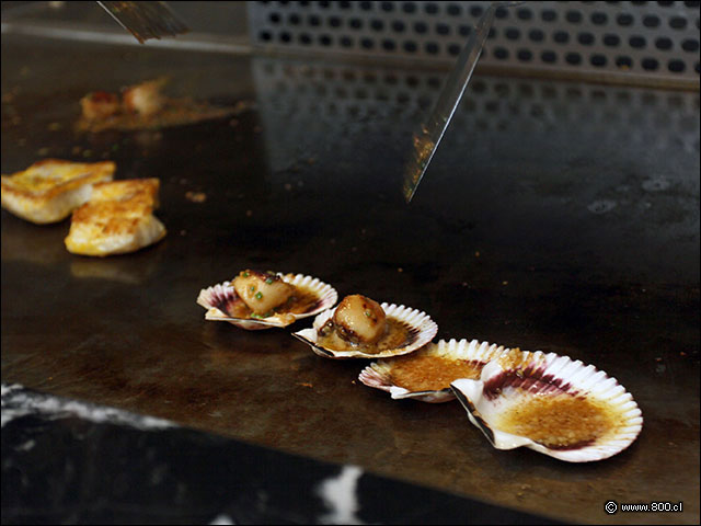 Ostiones helados en teppanyaki servidos con salsa ponzu - Sabor y Aroma