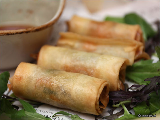 Spring rolls  - Shinsei - Renaissance