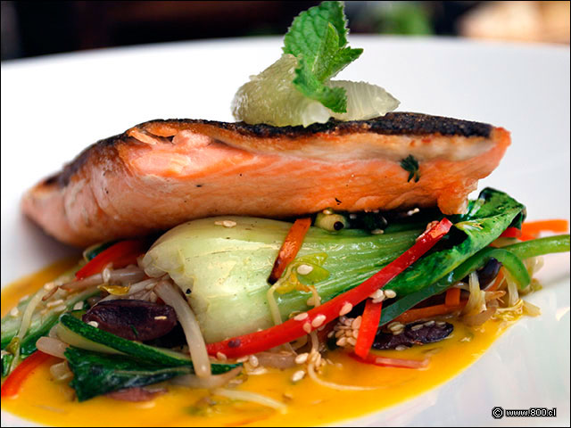 Bok Choy salteado al wok con salmn cocinado a baja temperatura - Zafferano (Hotel Solace)