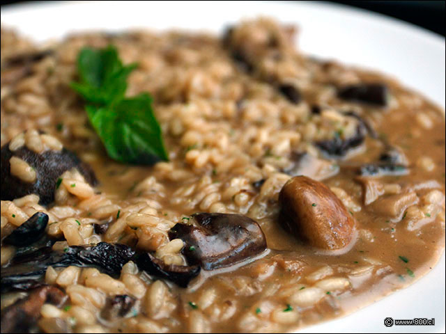 Mix de hongos dominando el sabor del Risotto Funghi - Zafferano (Hotel Solace)