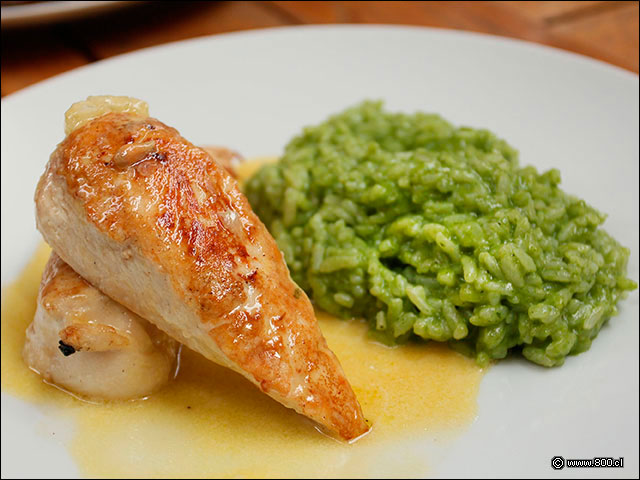 Pollo al Limn con Risotto verde - Quotidien Bistro