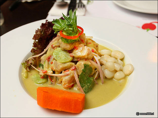 Cebiche al Huacatay - Rocoto Las Condes