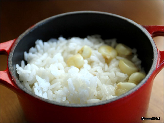 Arroz blanco con choclo de acompaamiento de un Aj de Gallina - La Nacional