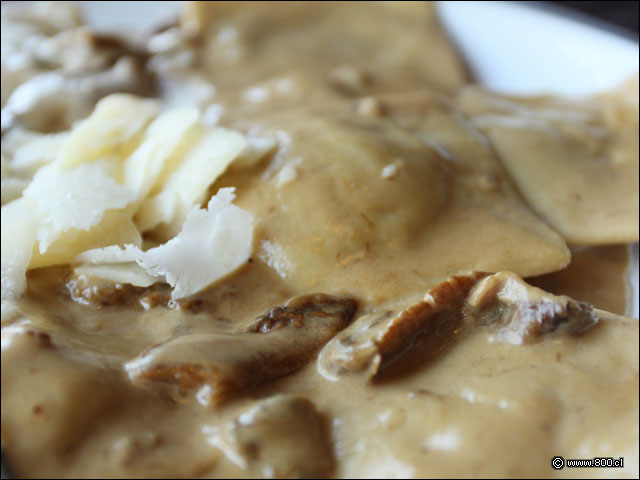 Pasta rellena de vacuno con salsa fungi porcini - Cocoa 2023 - La Dehesa