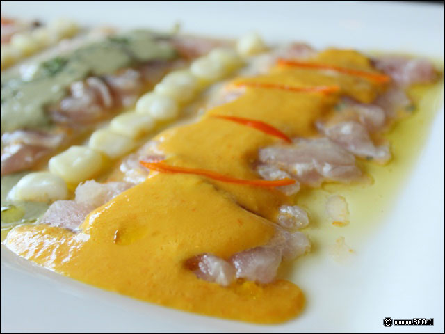 Salsa de aj amarillo, de aji limo y rocoto baan las finas lminas de corvina en el Tiradito a los tres Ajes - Cocoa 2023 - La Dehesa