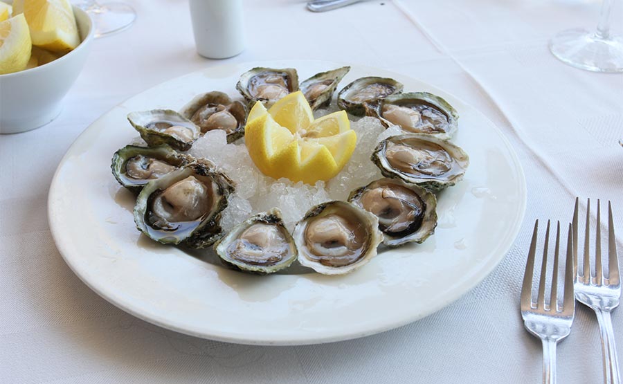 Frescas Ostras de Chiloé