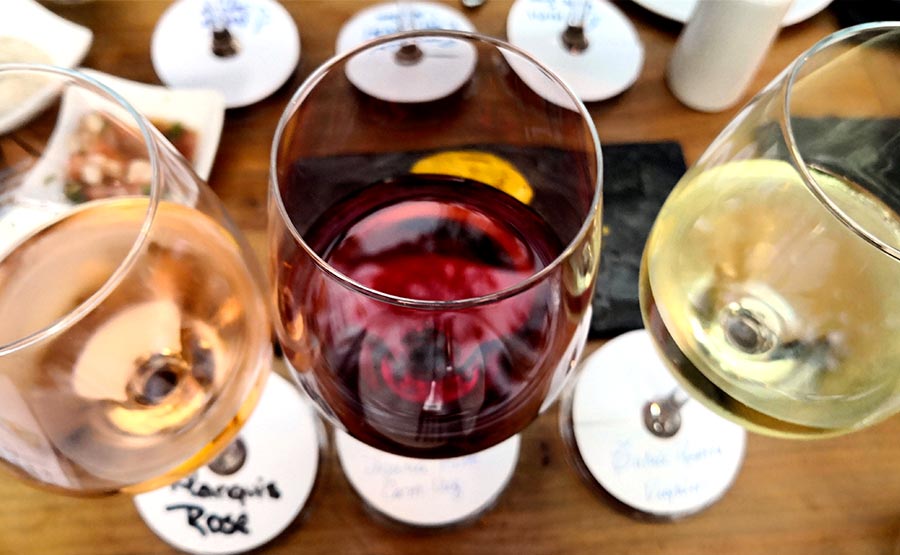 Vinos por copas