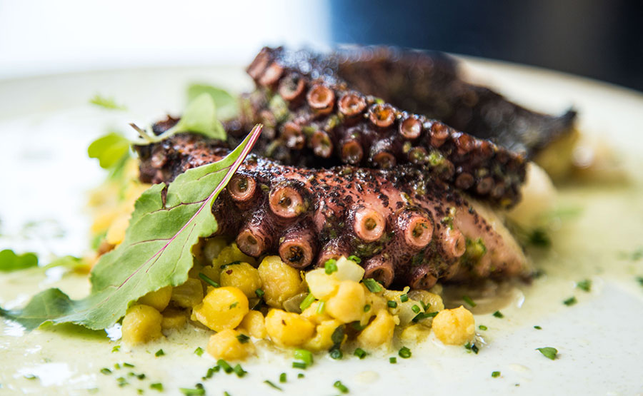 Pulpo en India - País Restaurant
