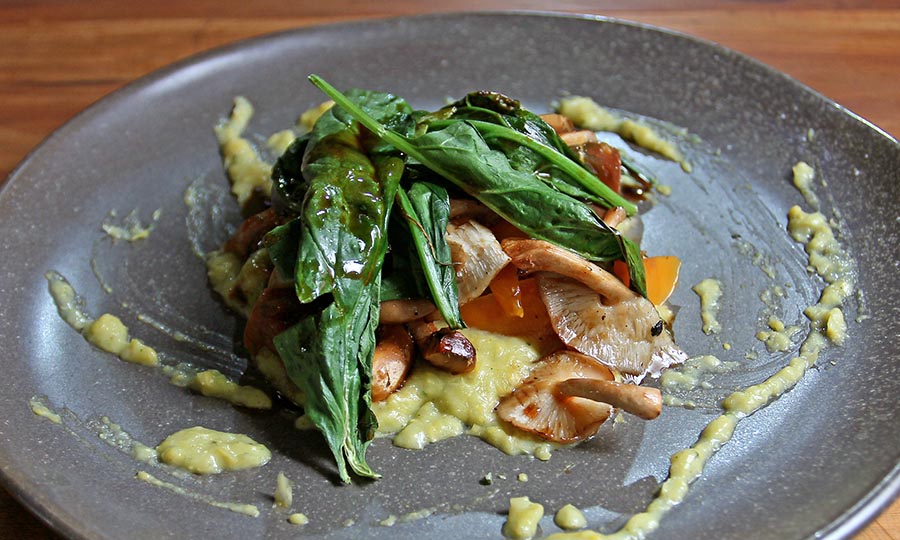 Hongos shiitake con pastelera de choclo