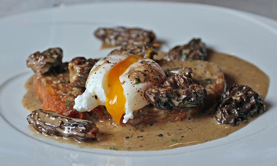 Lujoso Huevo perigourdine con morchella