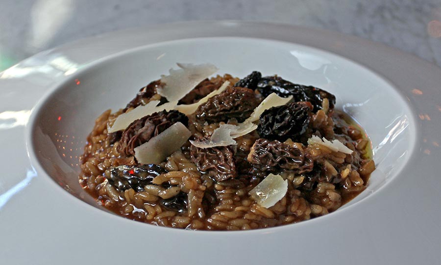 Risotto de Morilles - Amandine Bistro Hyatt Centric