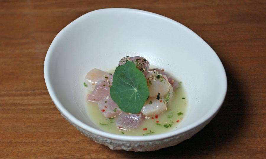 Perfecto Ceviche Wasabi - Osaka Santiago - Hotel Noi