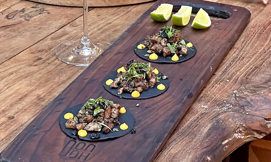 Lúdicos Kuro Taco