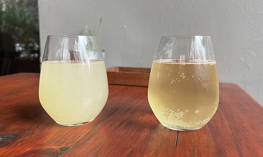 Ginger beer y kombucha de fabricación propia