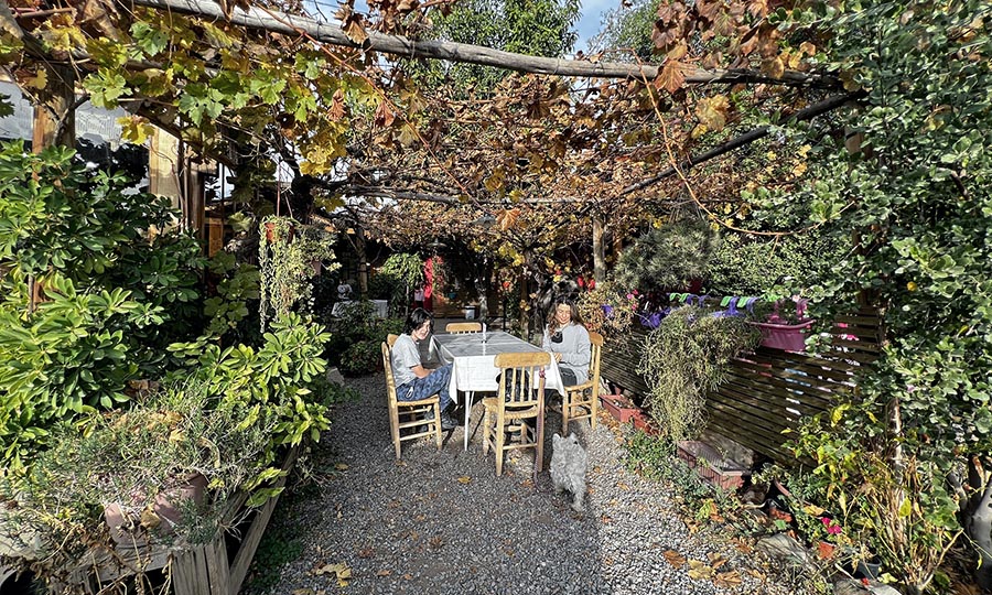 Terraza y mesas experiores en Saln interior principal en La Bodeguita de Muoz 