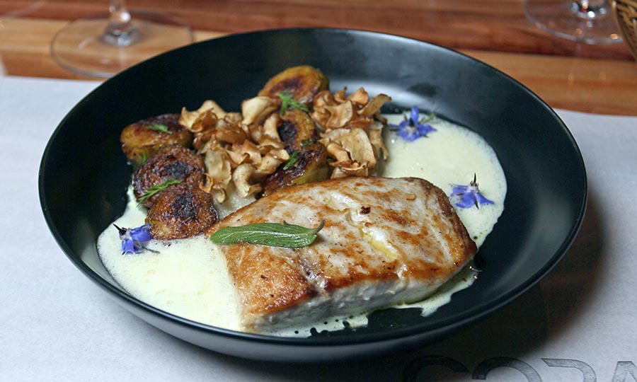 Corvina con pur -espuma de topinambur y bruselas