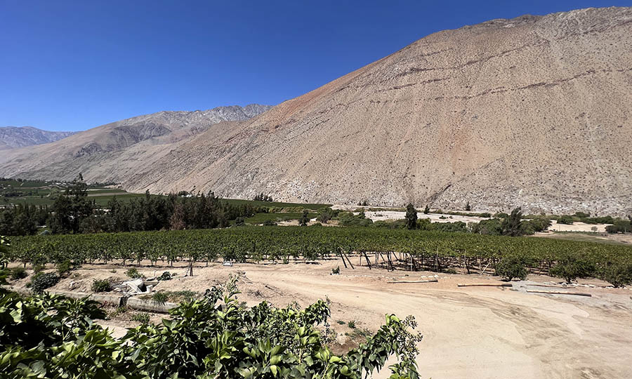  - Hacienda Miraflores Elqui