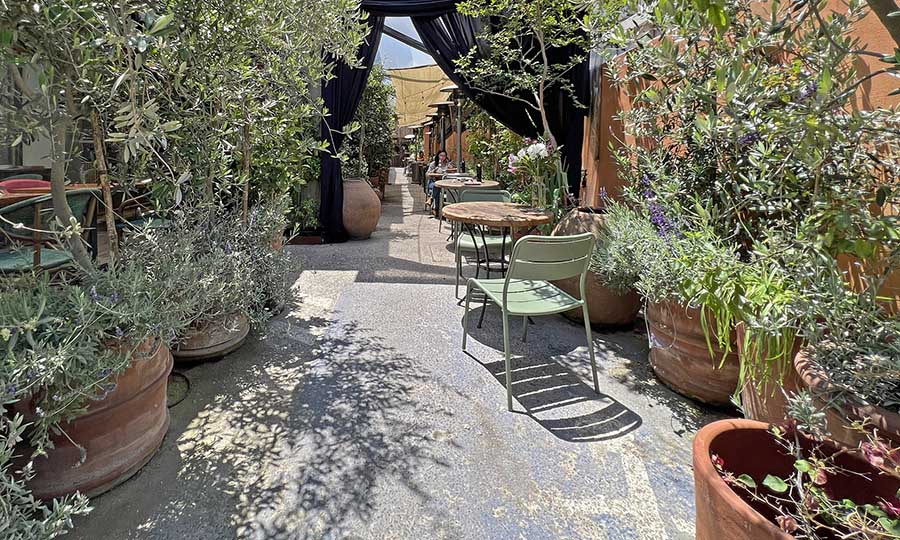 Pasillo y jardn de olivos en la entrada a Bottega Gandolini - La Bottega Gandolini