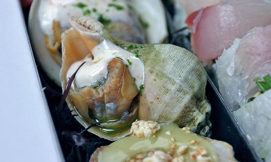 Caracol de mar cocido - Do Sushi Delivery - Próximamente Local en Av. Suecia