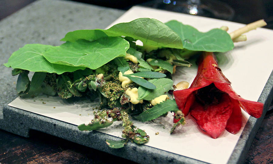 Copihue con plantas fuertes de verano