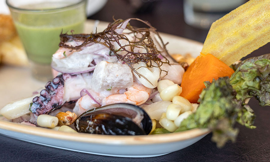 Ceviche Machu Pichu