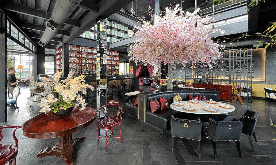 El gran saln de Shi-nua Chile con su Cherry Blossom