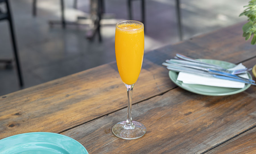 Intento de Mimosa