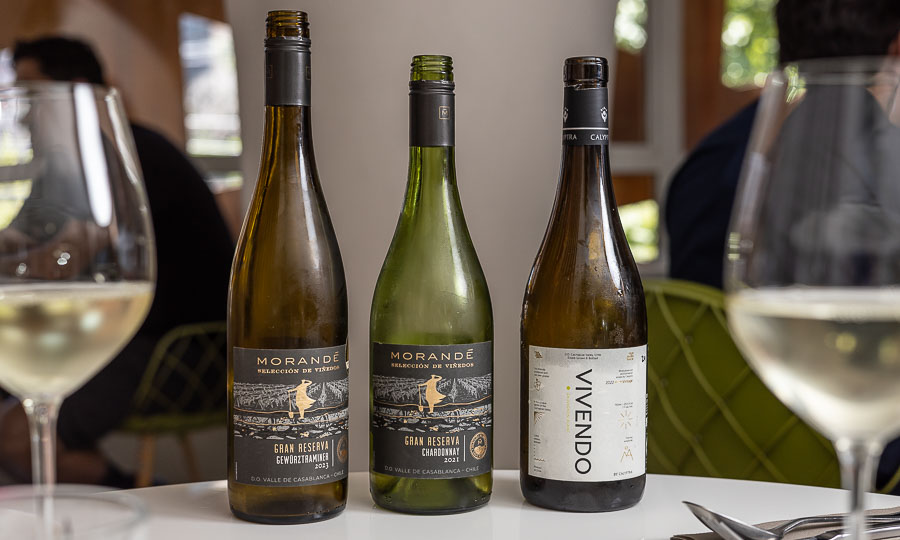 Los vinos para acompañar los platos