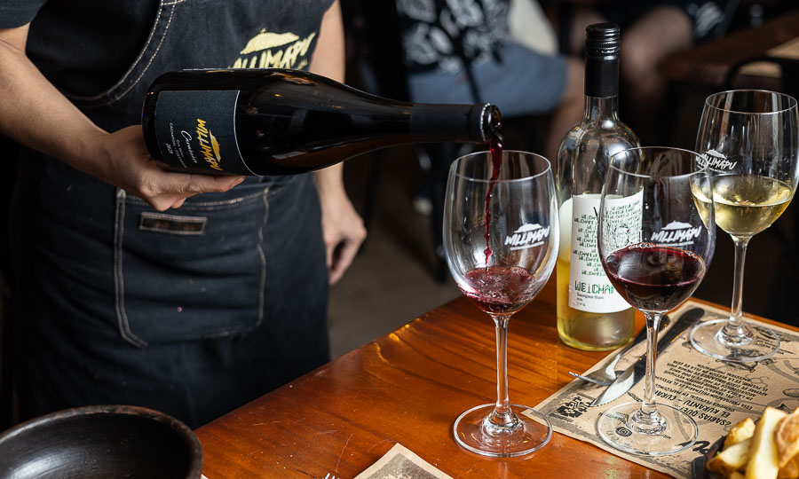Vino Willimapu Carmenere, Valle de Cachapoal y Colchagua - Willimapu
