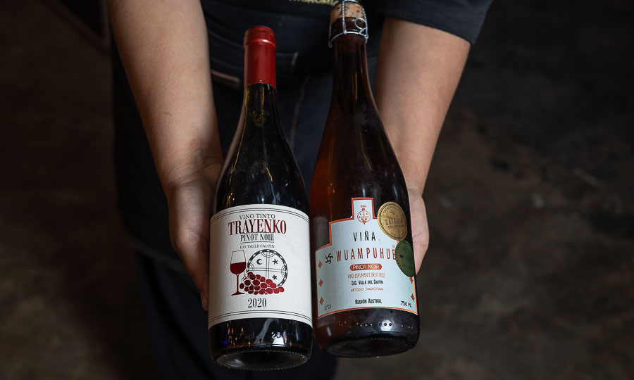 Parte de la pequea pero acertada seleccin de vinos - Willimapu