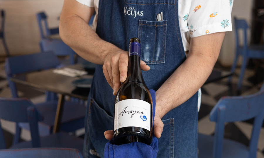 Vino Amayna Sauvignon Blanc de Via Garces Silva