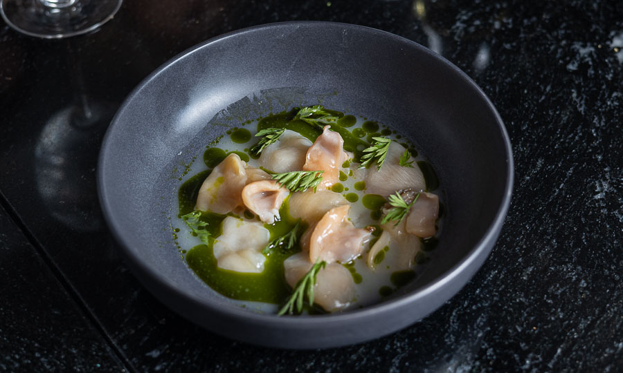 Magistrales Chochas con almejas en emulación de cilantro
