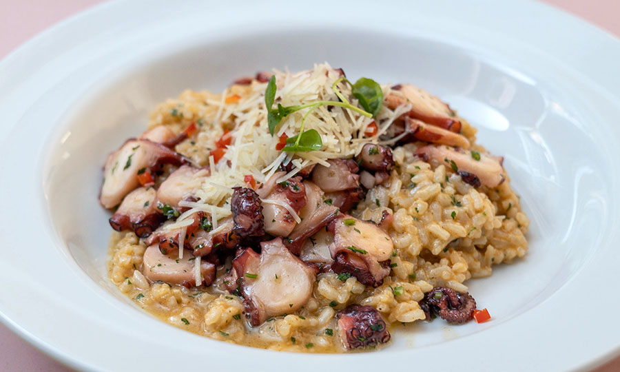 Estupendo Risotto de pulpo