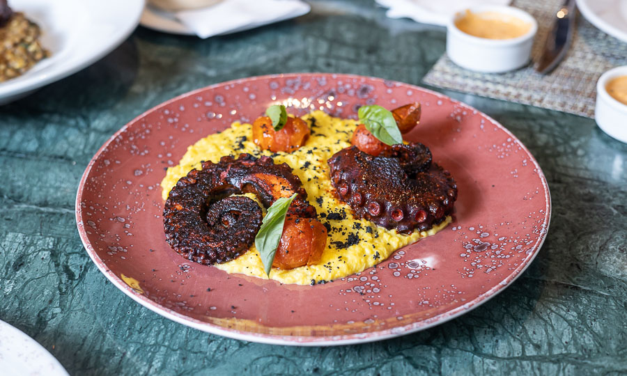 Pulpo Anticuchero con pastelera de choclo