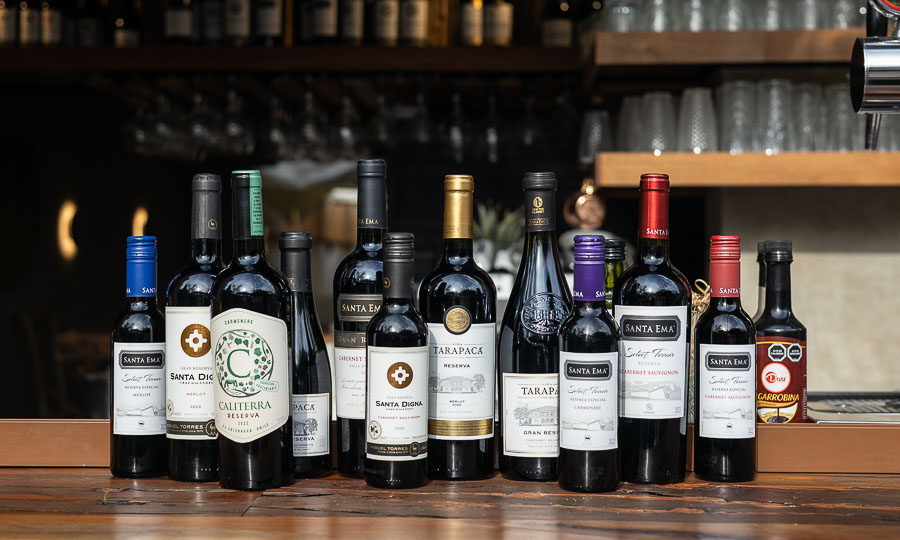 Parte de la seleccin de vinos de Hijo del Sol