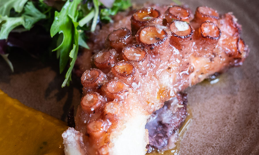 Pulpo: Tercer tiempo de Chile Insular - Macerado - Viamar