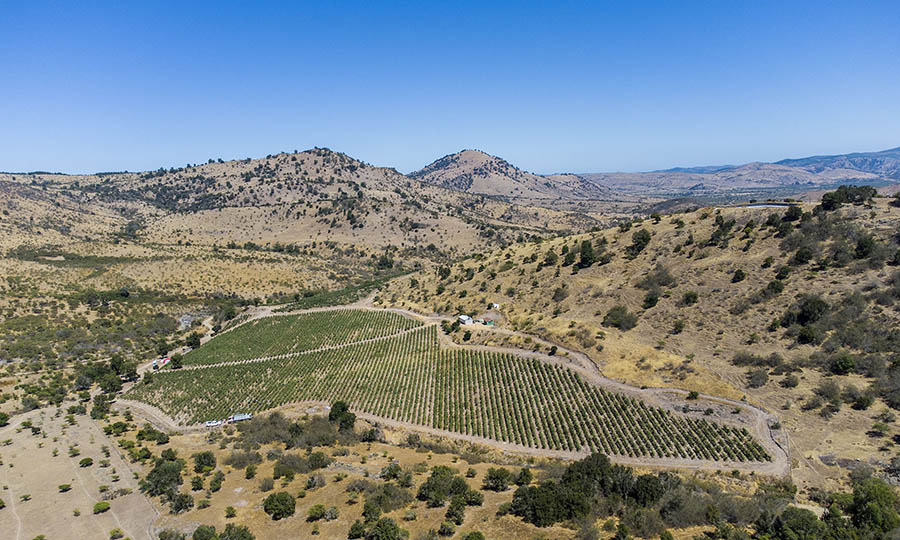 Fotos areas del viedo de Kaune Wines