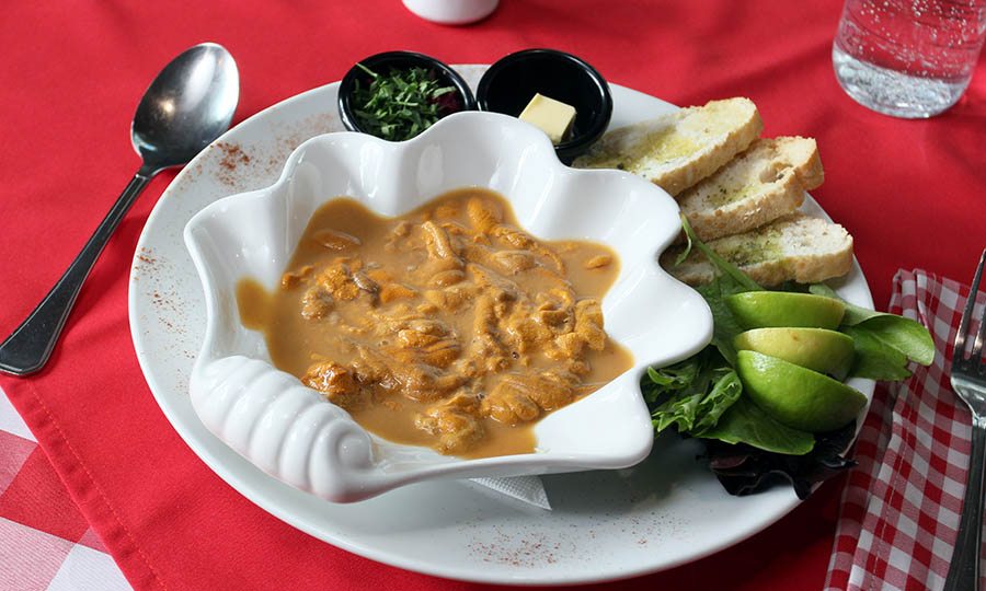 Erizos en Maniero - Maniero