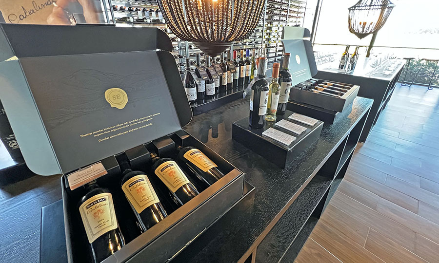  - Foto de Santa Ema Wine Shop, Septiembre 2025