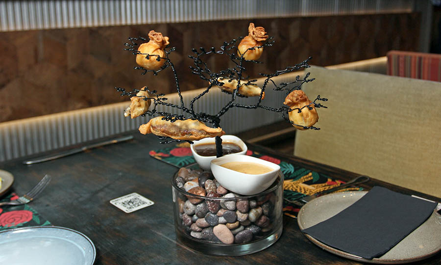 rbol de wantn - Oporto Salvaje