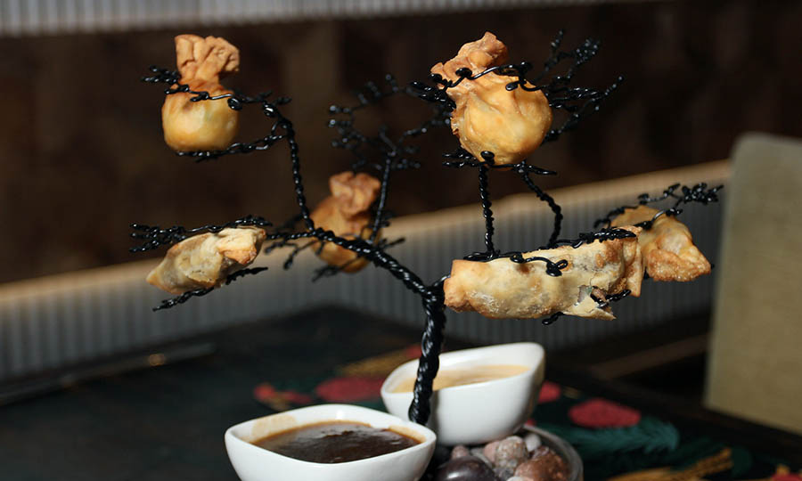 rbol de wantn - Oporto Salvaje