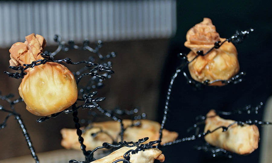 rbol de wantn - Oporto Salvaje