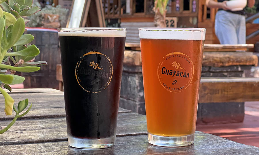 Las afamadas cervezas artesanales de Guayacn en Diaguitas