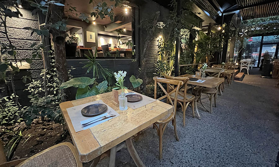 La gran terraza techada exterior de Jardn Secreto  - Bar Jardn Secreto