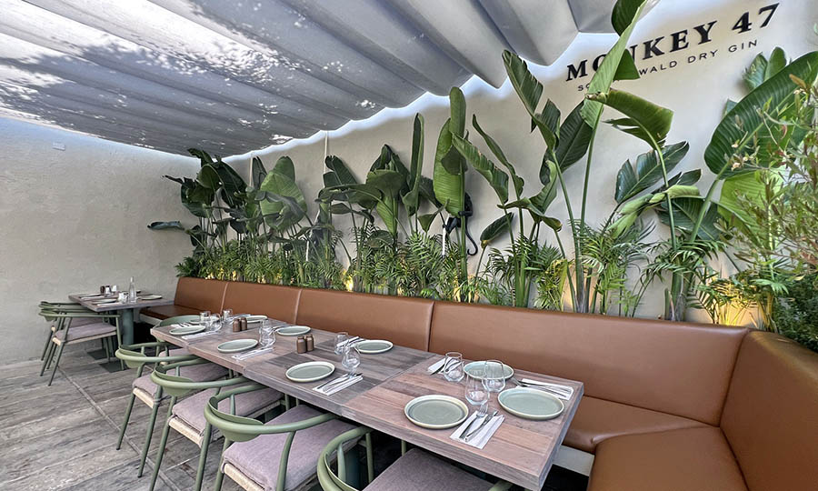 La terraza de Ronda - Ronda Restaurante