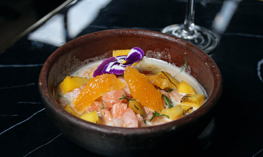 Ceviche veranito - Casa Vitalis